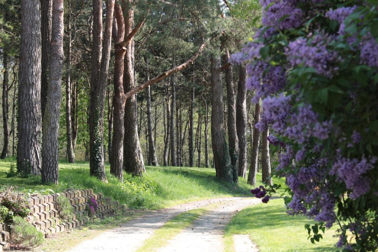La Poignardière Châtillon-sur-Indre Esterno foto